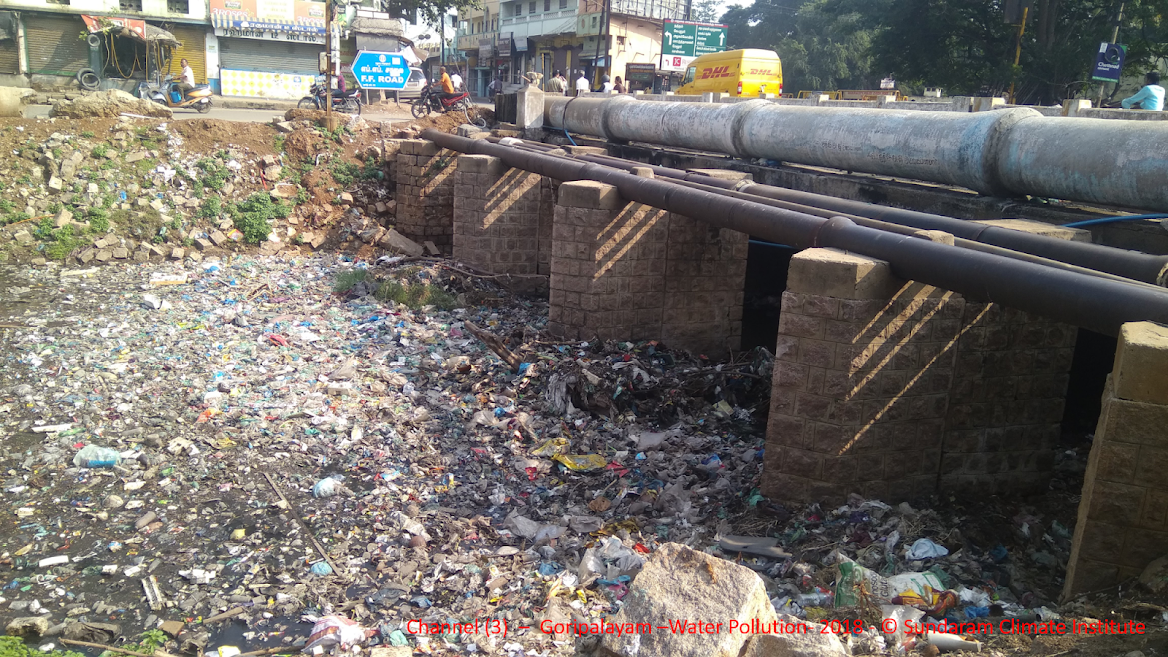 CIC Event Mridula Ramesh