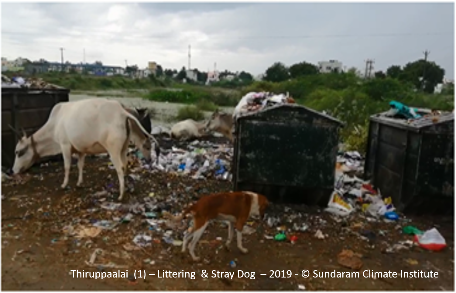 CIC Event Mridula Ramesh