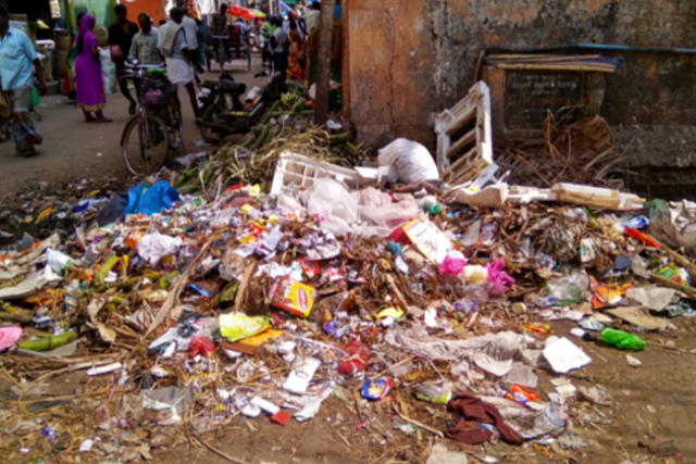 CIC Event Mridula Ramesh