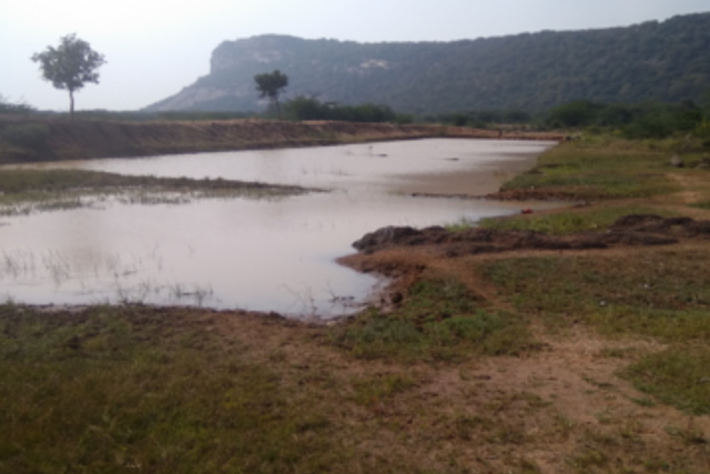 CIC Event Mridula Ramesh